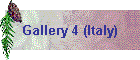Gallery 4 (Italy)