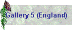Gallery 5 (England)