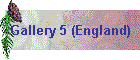 Gallery 5 (England)