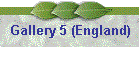 Gallery 5 (England)