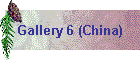 Gallery 6 (China)