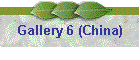 Gallery 6 (China)
