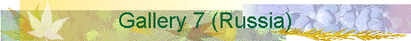 Gallery 7 (Russia)