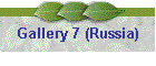 Gallery 7 (Russia)