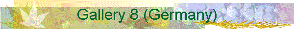 Gallery 8 (Germany)