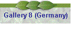 Gallery 8 (Germany)
