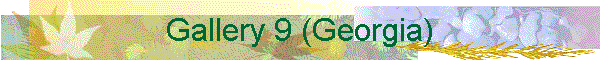 Gallery 9 (Georgia)
