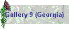 Gallery 9 (Georgia)