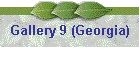 Gallery 9 (Georgia)