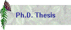 Ph.D. Thesis
