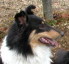 click here for Sierra's page