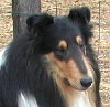 click here for Tristan's page