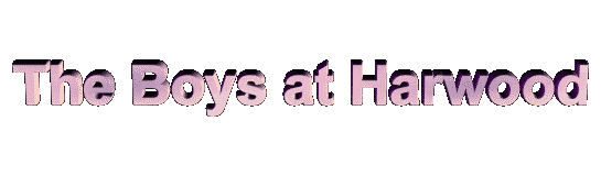 boysbnr.gif - 6639 Bytes