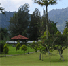 A good view in Nusantara Flower Garden