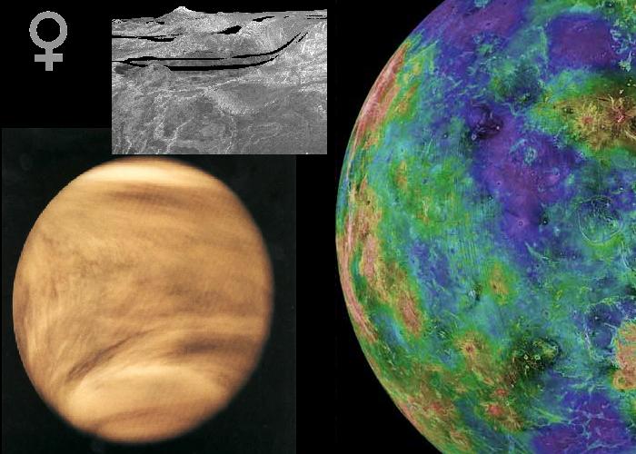 Venus