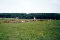 The Circle from afar
