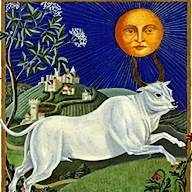 Taurus