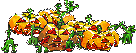 Pumpkin19.gif
