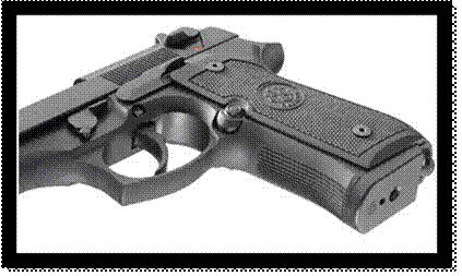 m9a1_zoom004.jpg