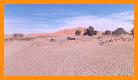 Oasis du village endommage par le sable