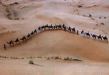 aventure sur les dunes -d'Erg Chebbi- dans la r�gion 