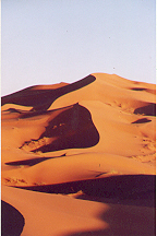 paysage pr�s du village