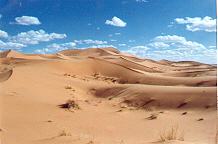 paysage pr�s du village