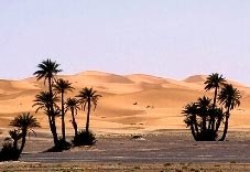 Pysage from r�gion of MERZOUGA