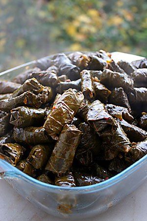 sarma.jpg