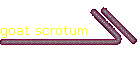 goat scrotum