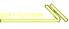 goat scrotum