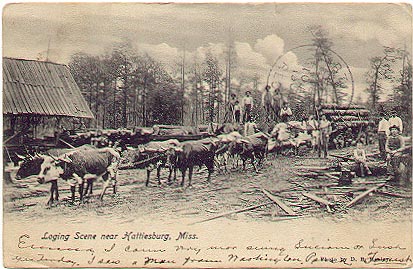 logging_scene.jpg - 80kb