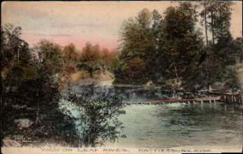 view_on_leaf_river_1908.jpg - 12kb