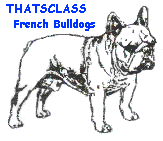 THATSCLASS webdesigns