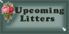 Upcoming Litters