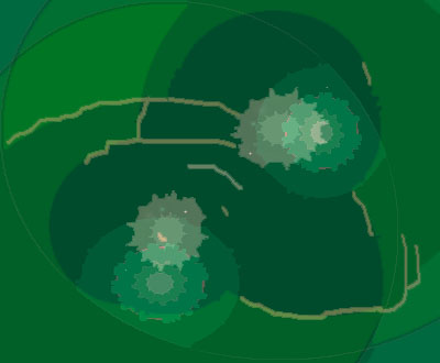 lilypads