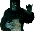 Black Gorilla