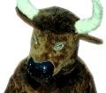 Bull