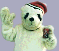 Cola Bear