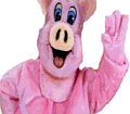 Pig