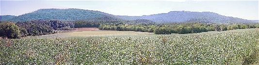 Back Soy Pasture