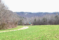 cabin field view