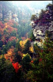 Fall Creek Falls