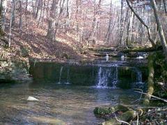 stream