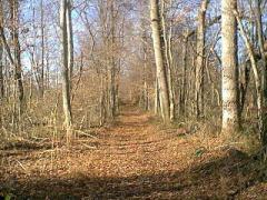 trail