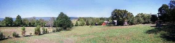 pasture
