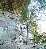 skye rockwall