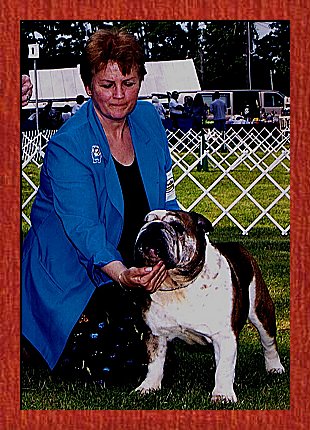 Brewster The Picadilly Bratt  � 2002