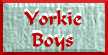 Yorkie Boys