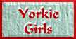 Yorkie Girls